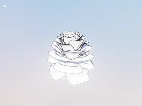 Parametric Surface Rose