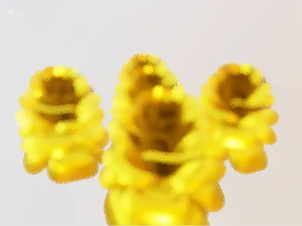 Golden Rose